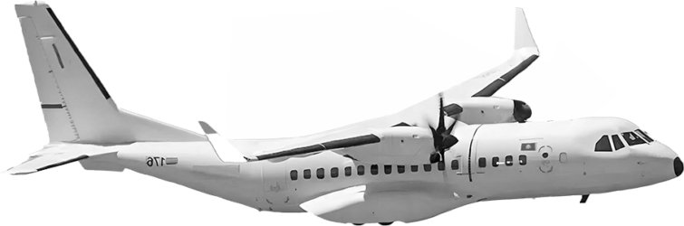 C295 Casa_